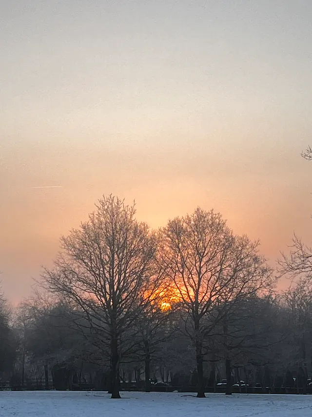 Motiv fra kirkegården