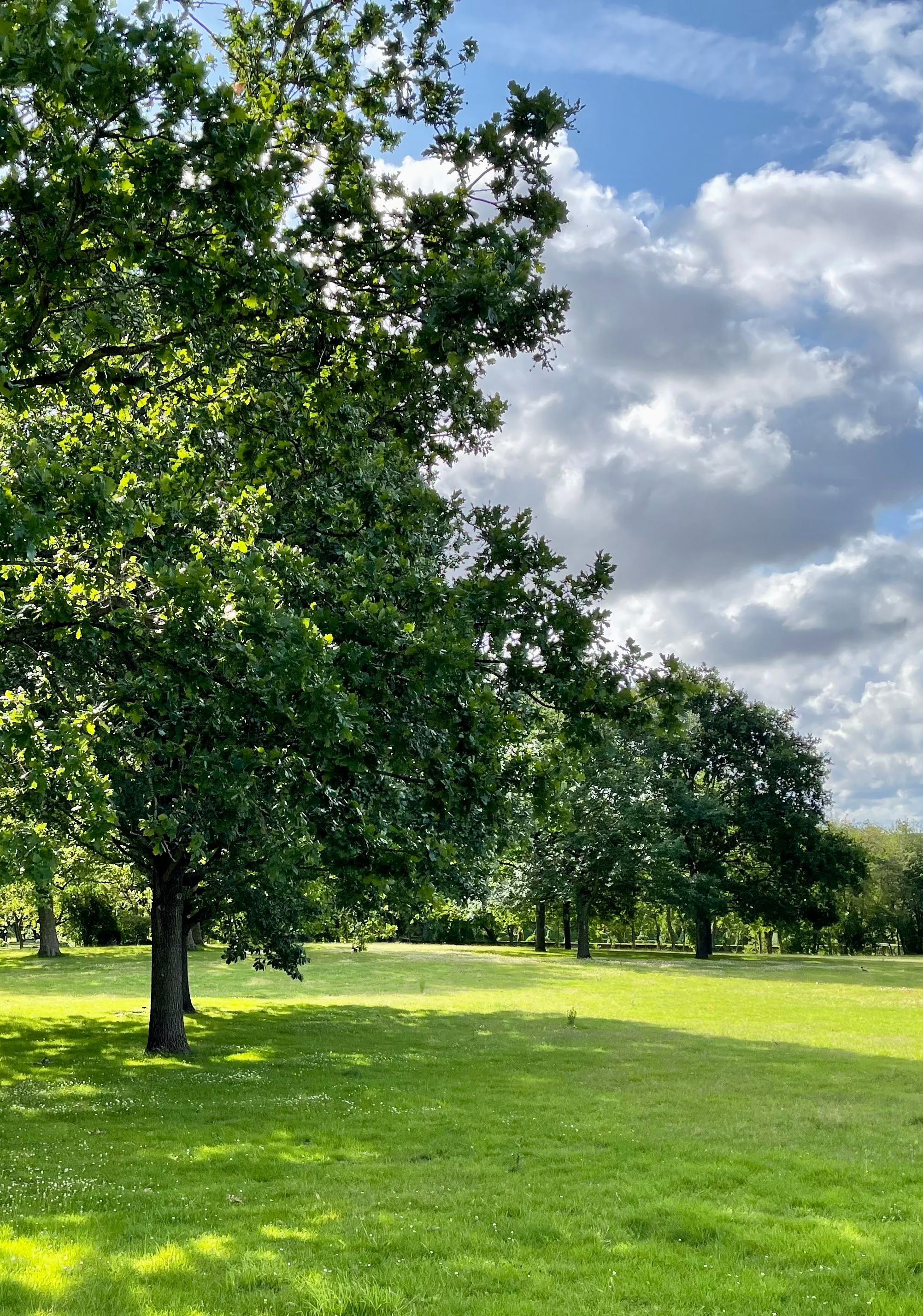 Motiv fra kirkegården