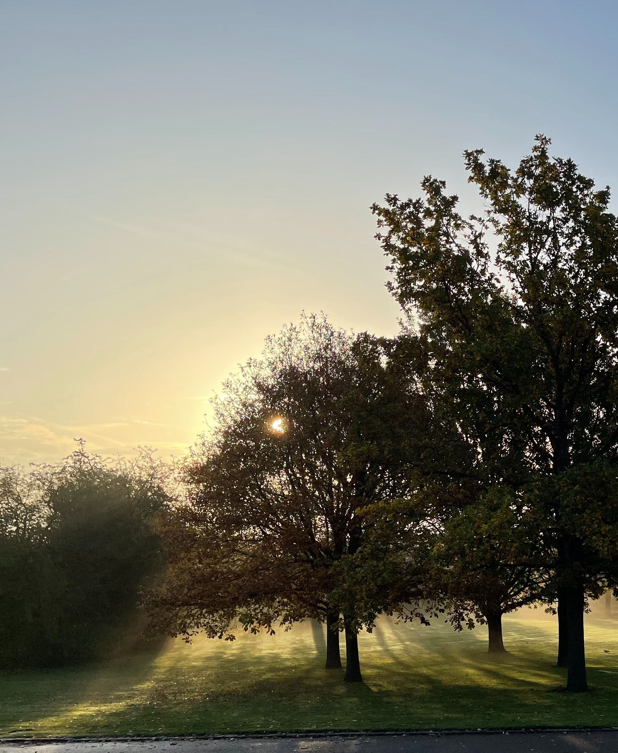 Motiv fra kirkegården